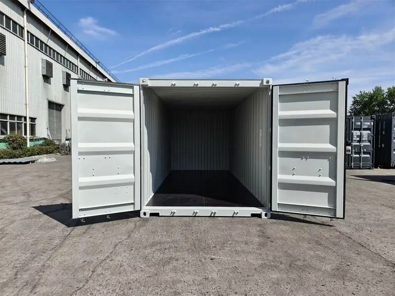 ISO-Container 20 ft mit beiden Türen offen und Blick auf den leeren Innenraum